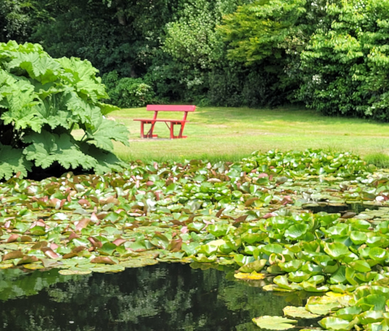 Relation d'aide holistique